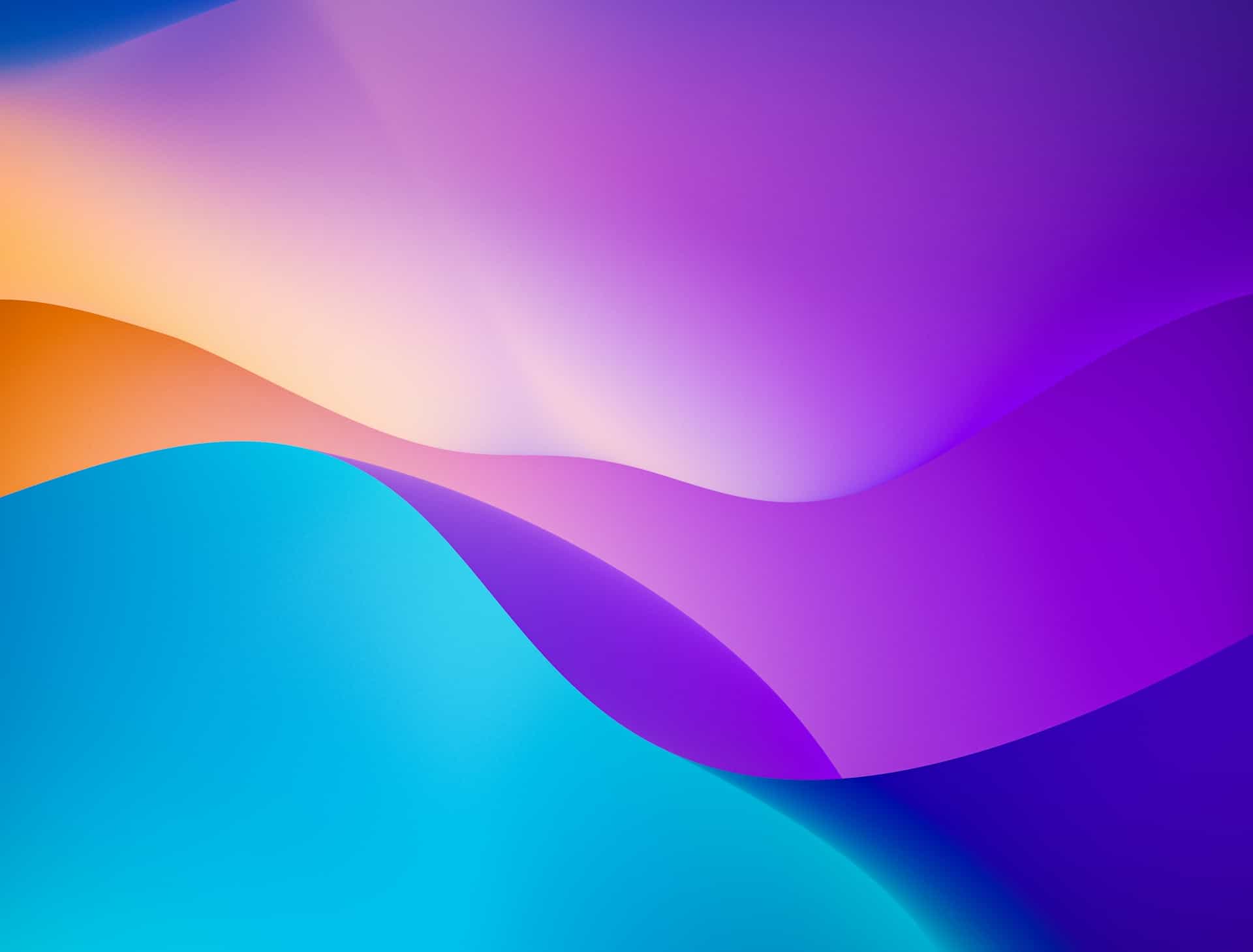 UI/UX Design